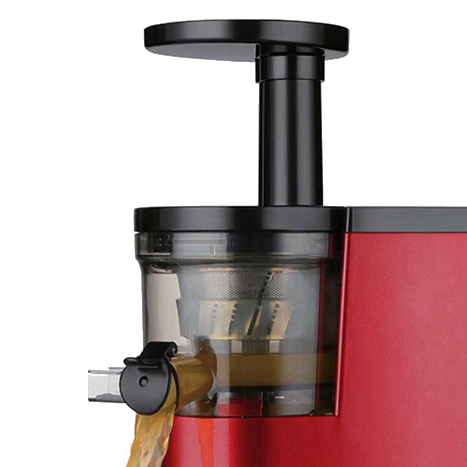 Slow-Juicer TKG FE 1010 KTO
