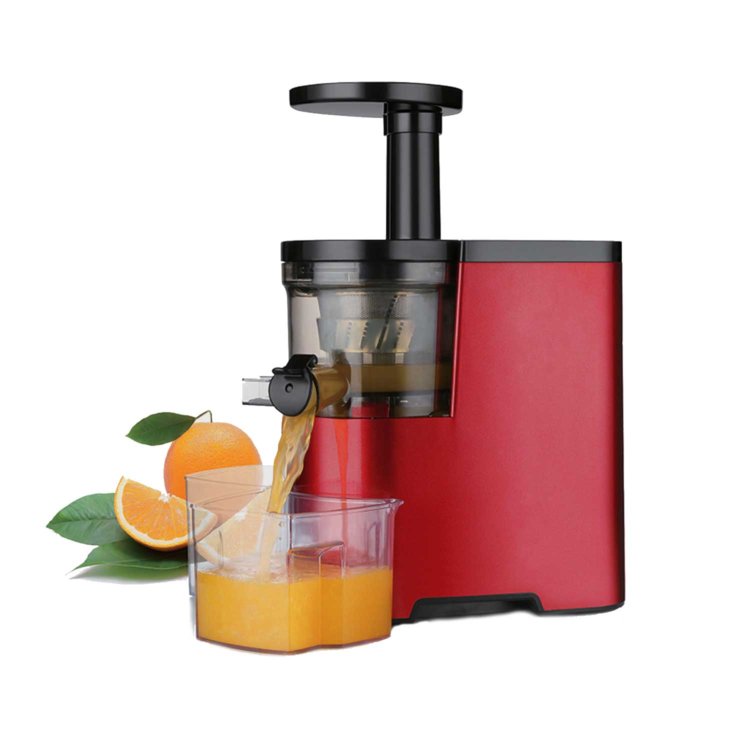 Slow-Juicer TKG FE 1010 KTO