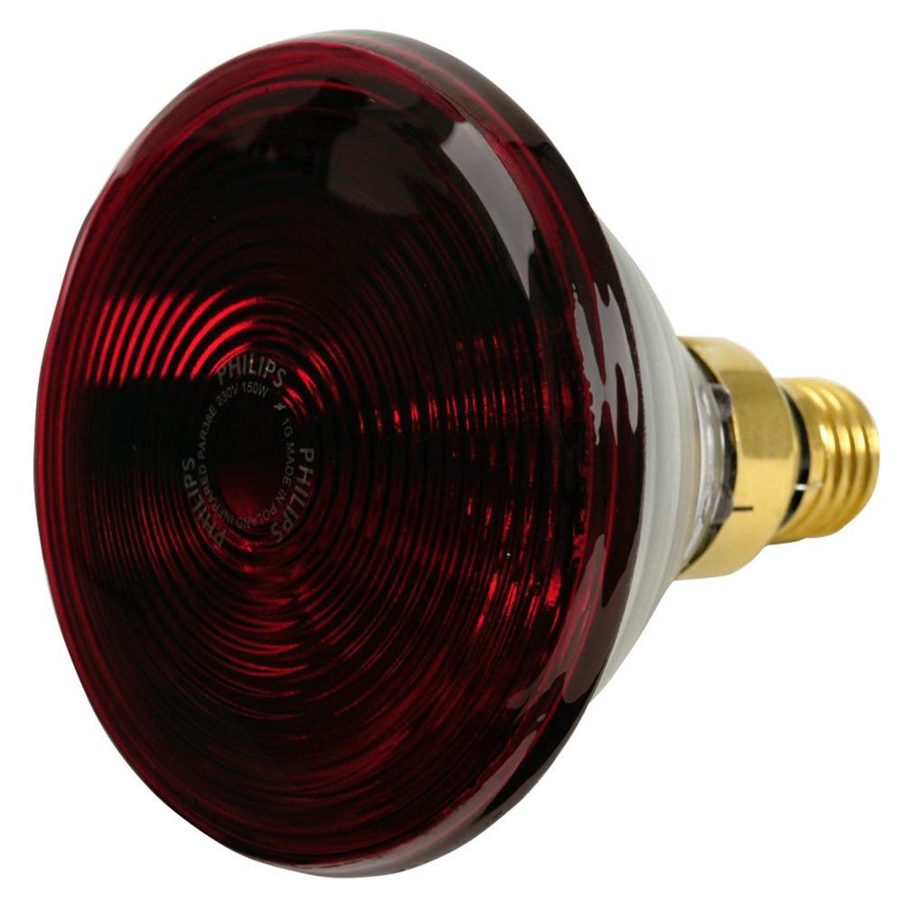 IR Lampe für SC IR 812 (Infrarot)